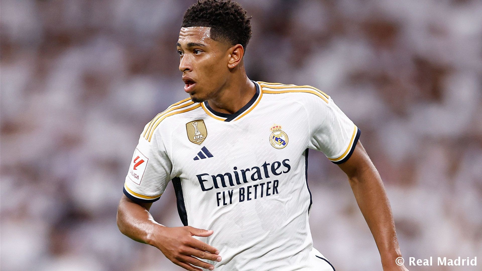 TA：阿韦洛亚在阿隆索替代者名单中；克洛普对在红牛工作满意（TA：阿韦洛亚入选阿隆索接班人名单；克洛普对在红牛的工作感到满意）